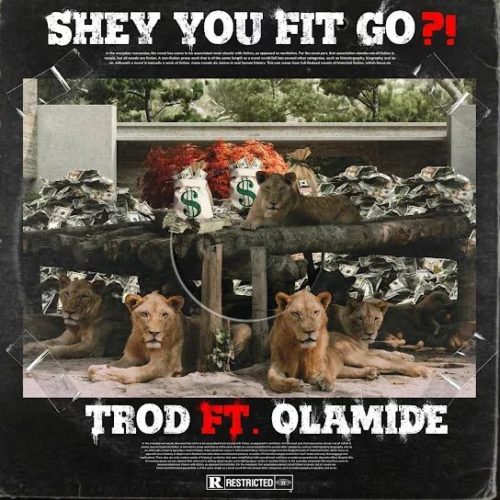 Trod – Shey You Fit Go? ft Olamide