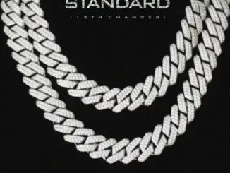 Shatta Wale – Standard Mp3 Download