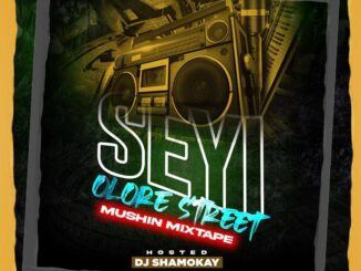 Dj Shamokay - Seyi Olore Street Mushin mixtape