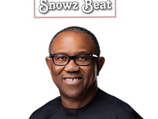 Snowz Beat - ELLU P Dance Beat