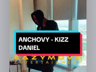 Kizz Daniel – Anchovy Tiktok Speed Up Download Mp3 Lyrics