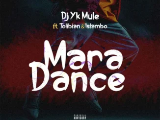 DJ YK Mule – Mara Dance ft. Tolibian x Islambo