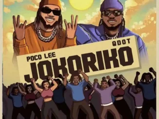 Poco Lee – Jokoriko ft. Qdot