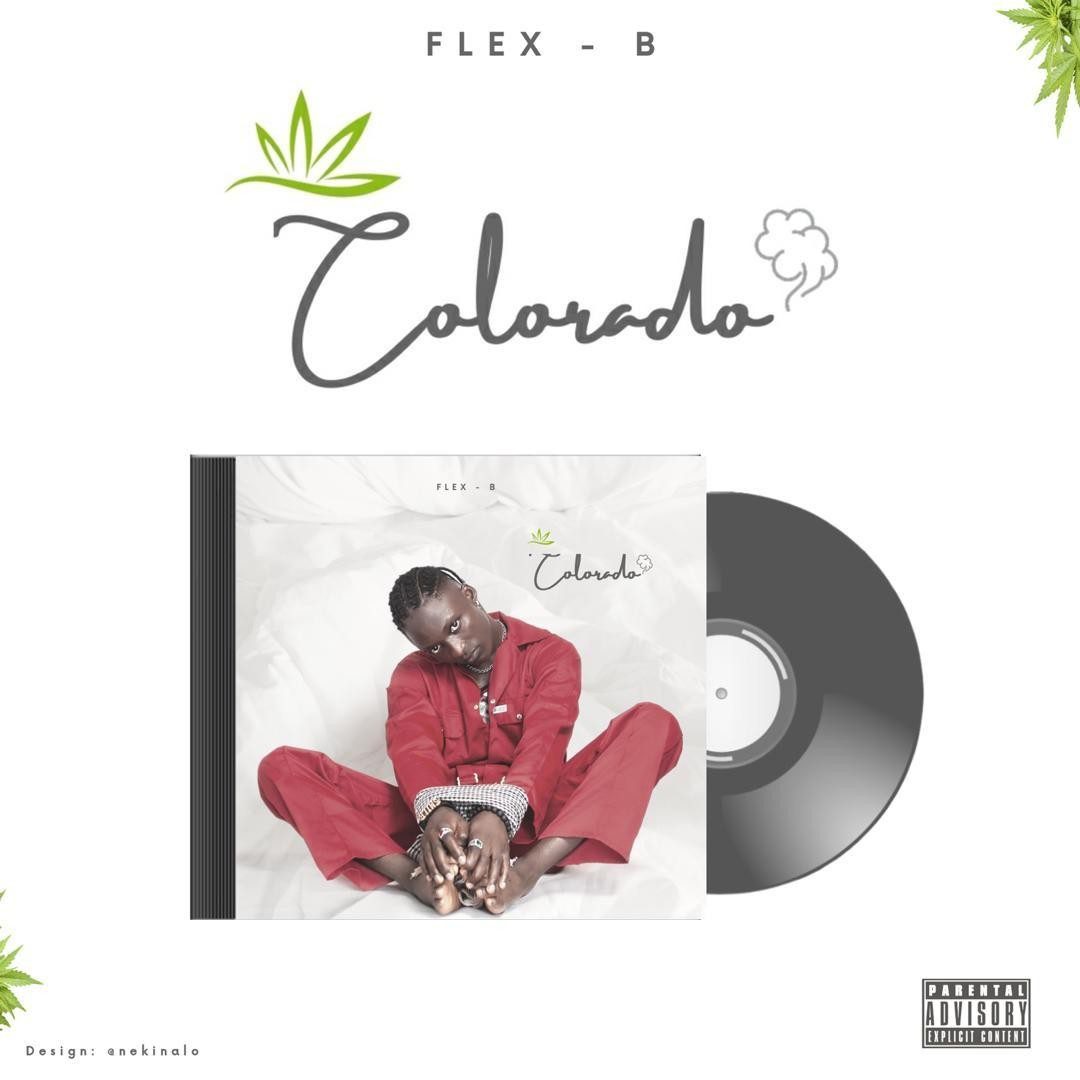 flex b Colorado 
