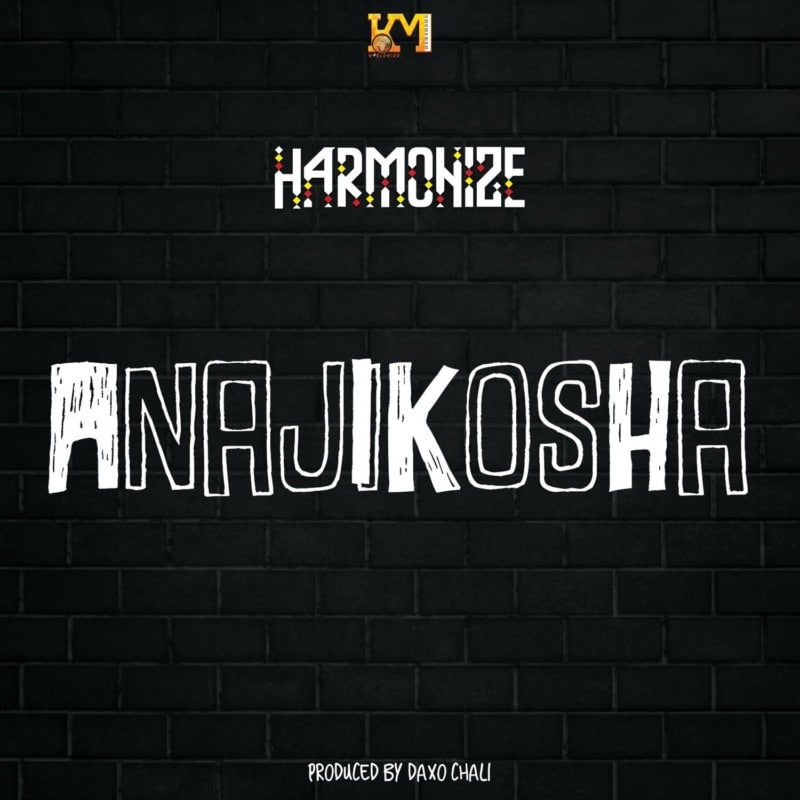 Harmonize – “Anajikosha” - Sweetloaded Harmonize – “Anajikosha”