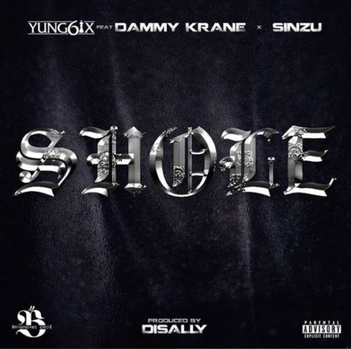 shole-artwork