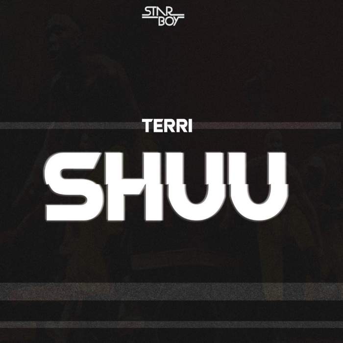 Music: terri - shuu (leak) - sweetloaded