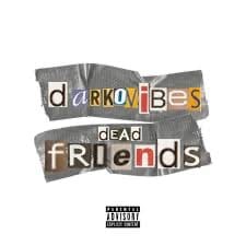Darkovibes – dead friends - sweetloaded