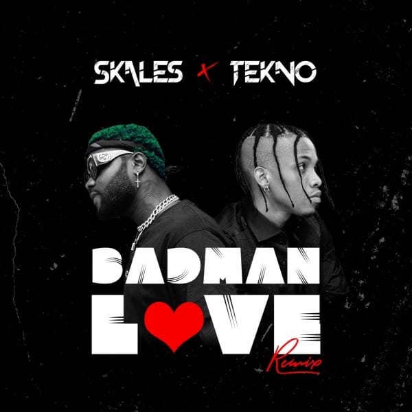 Skales ft. Tekno - badman love (remix)