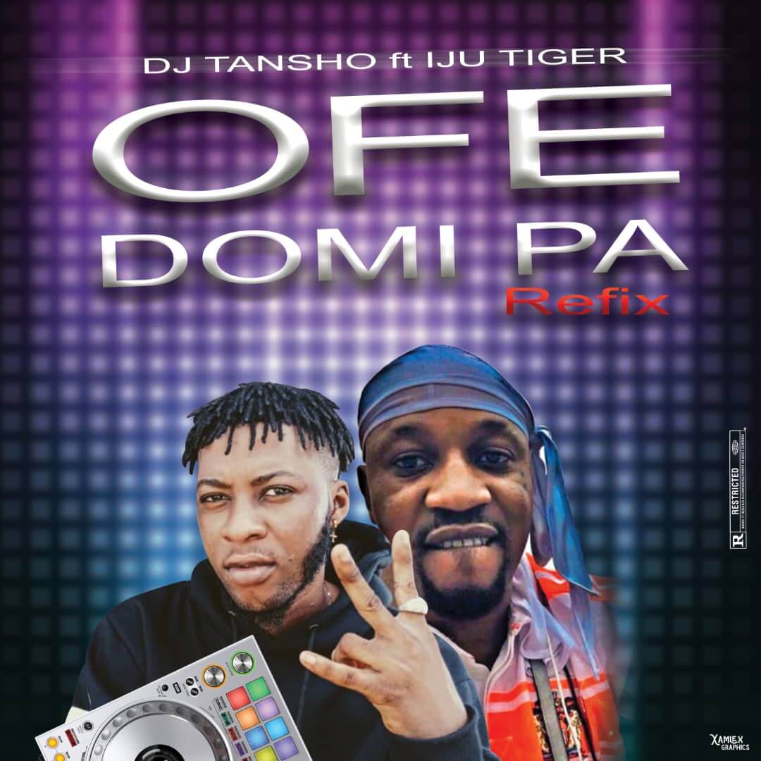 DJ Tansho Ft Iju Tiger - Ofe Domi Paa Refix!