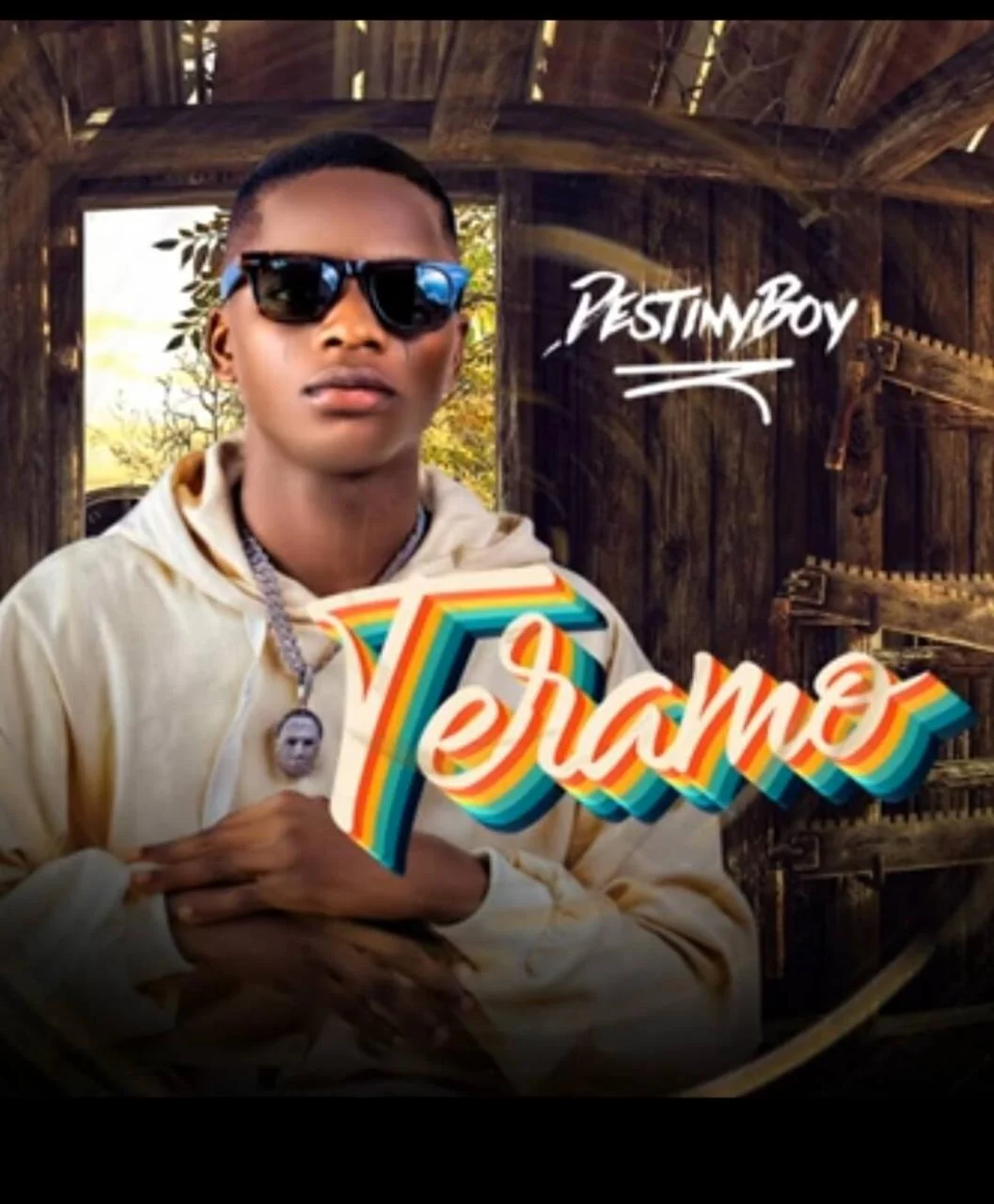 Destiny boy - teramo
