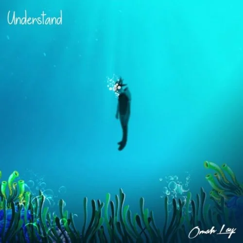 Omah lay – understand instrumental