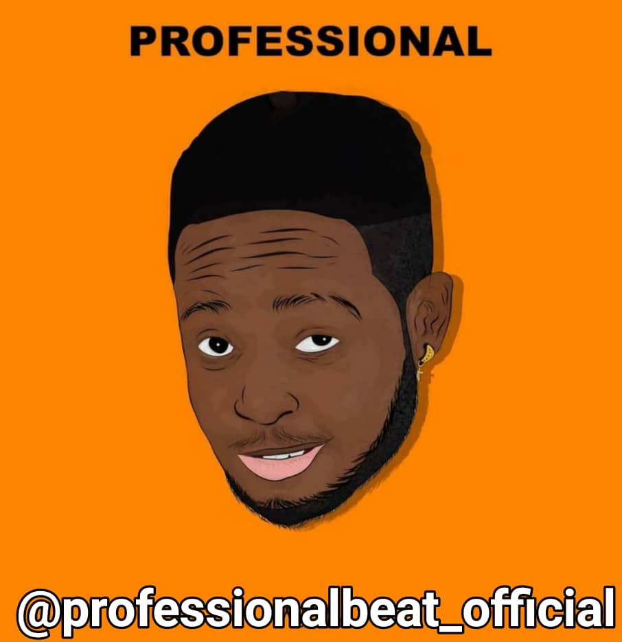 Professional beat - Zazu refix