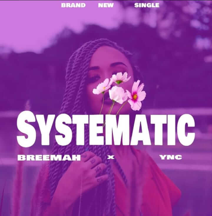 Breemah ft ync - systematic