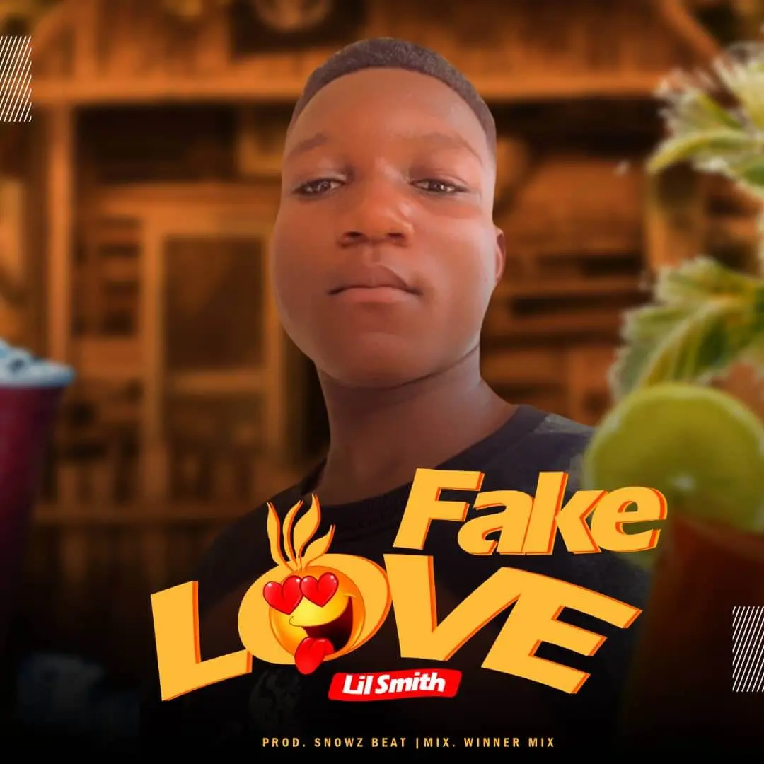 Lil smith - fake love