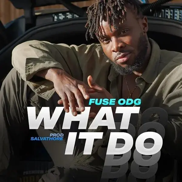 Fuse odg – what it do