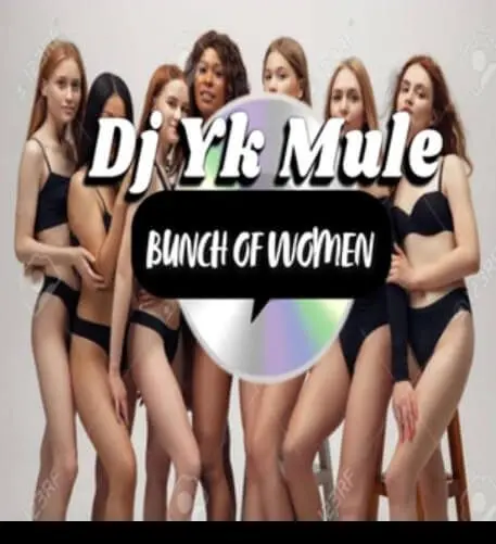 Dj yk beat - bunch of woman cruise beat