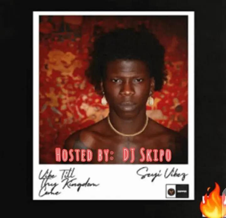 Hot mix dj skipo seyi vibez vibez till kingdom come album mixtape - sweetloaded