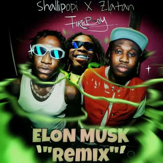 Shallipopi ft. Zlatan, fireboy dml – elon musk (remix)