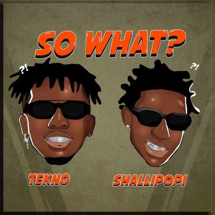 Tekno – so what? Ft. Shallipopi