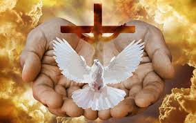 Y Dollar - Holy Spirit Mara Beat