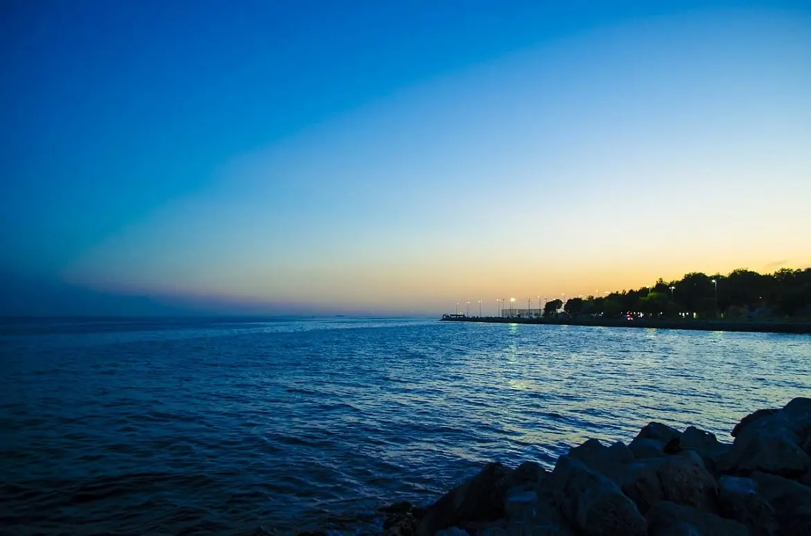 How to retire early? Investment experts on how to retire in 10 years in your 40s - sweetloaded