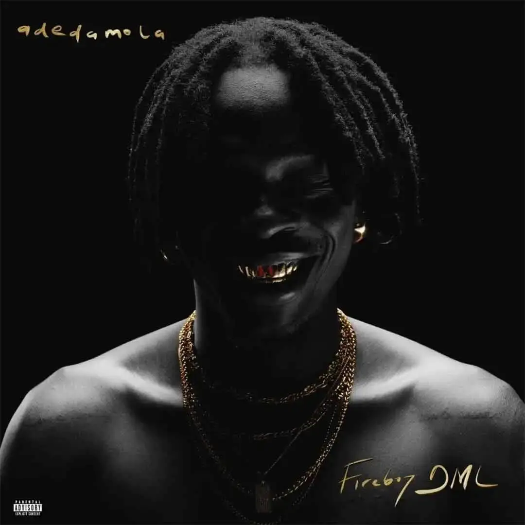 Fireboy dml – jon’s interlude