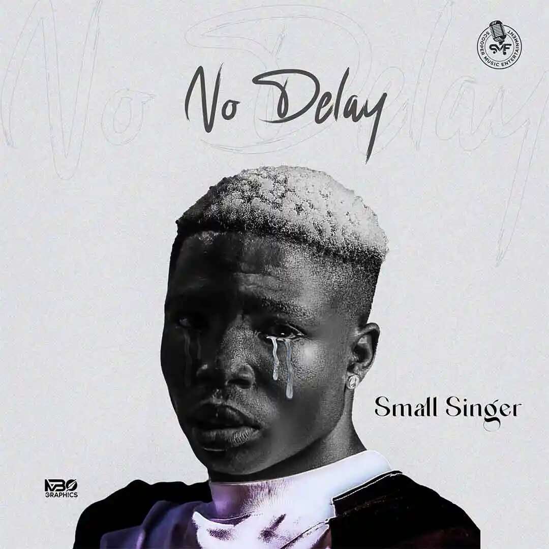 Small Singer – No Delay - Sweetloaded Small Singer – No Delay - Sweetloaded