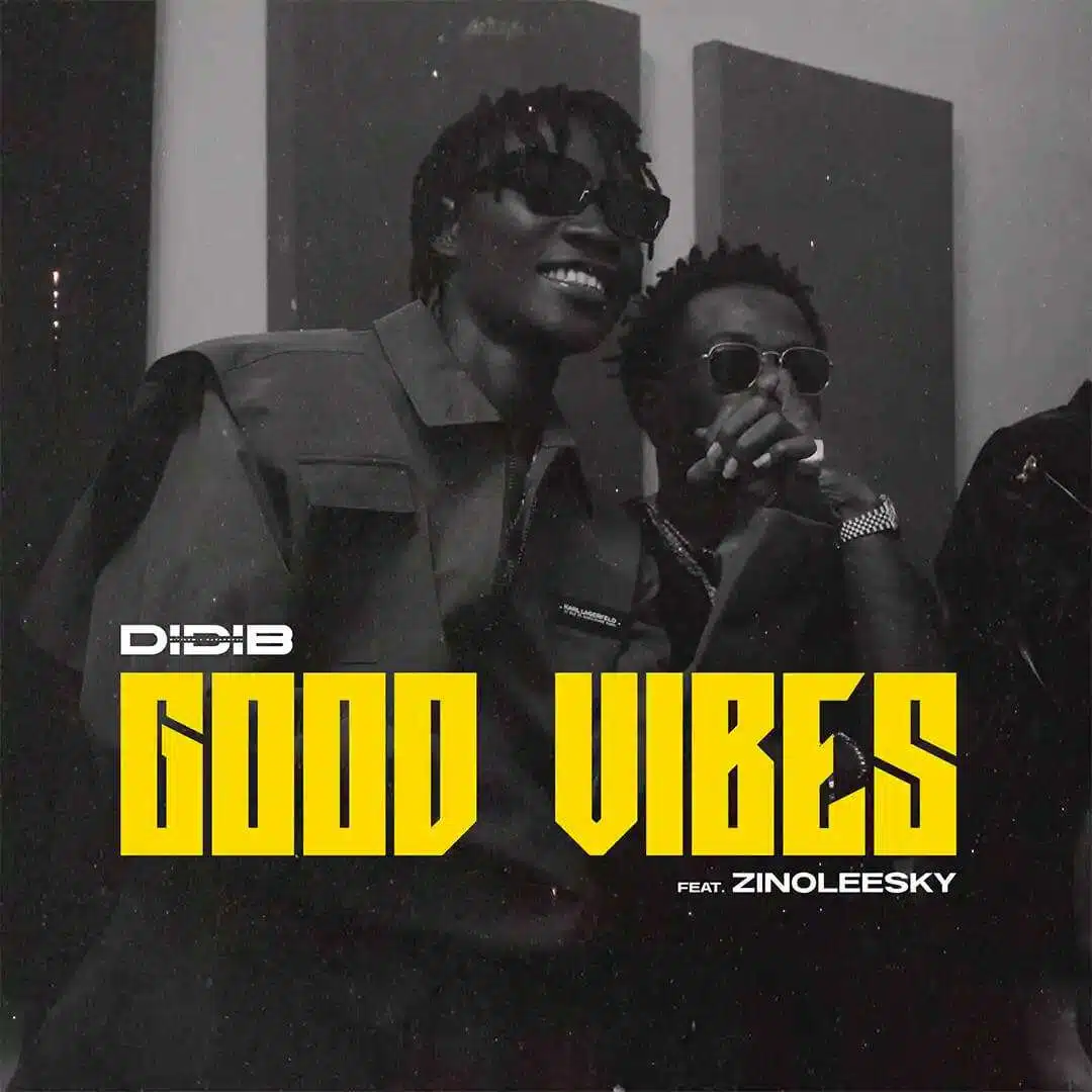 Didi b – good vibes ft. Zinoleesky - sweetloaded