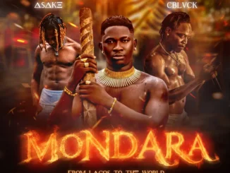 Whyzee de seaside boy – mondara ft. Cblvck x asake