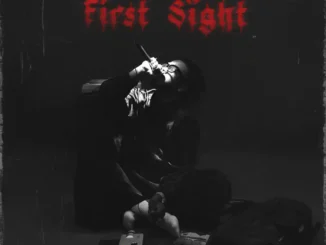 Boypee first sight