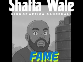 Shatta wale – fame