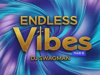 Dj swagman - endless vibes mara