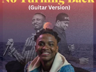 Dj swagman - no turning back (guitar version)