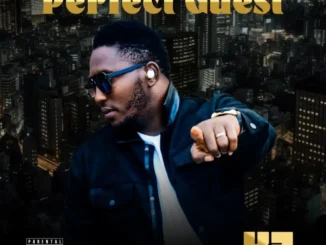 K-two – perfect guest - sweetloaded