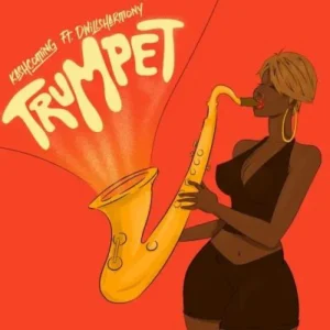 Kashcoming – trumpet ft. Dwillsharmony