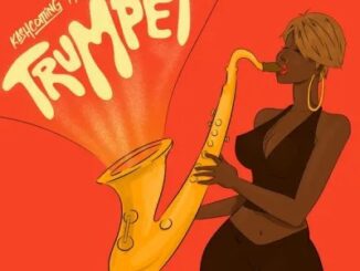 Kashcoming – trumpet ft. Dwillsharmony