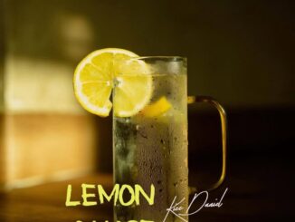 Kizz daniel – lemon chase ep album