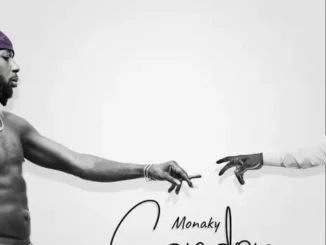 Monaky – chandelier