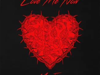 Mr eazi – love me now - sweetloaded