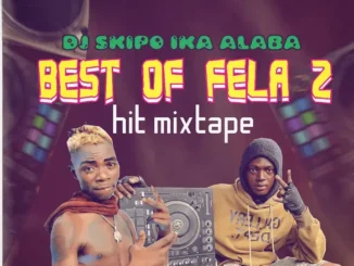 Best of fela 2