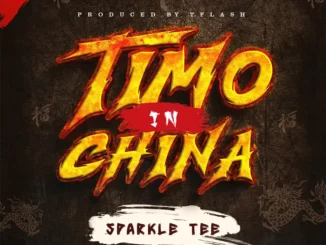Timo in china