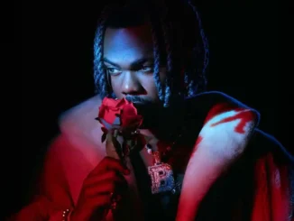 Ckay – nothing spoil ft. Bella shmurda