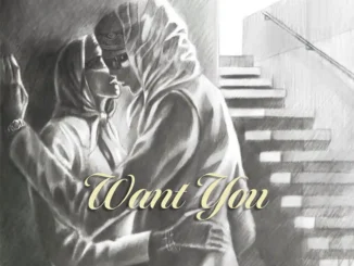 Spinall – want you ft. Jayo x destin conrad