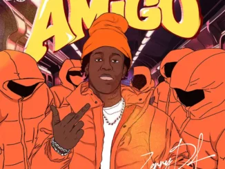 Zerrydl – my amigo