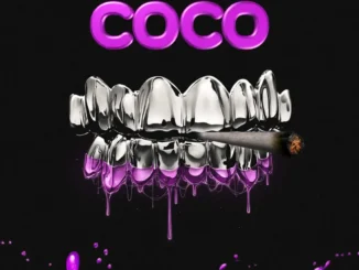 2tboyz – “coco” ft. Gmg boss