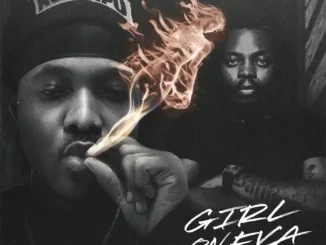 Ashidapo – girl on fya ft olamide