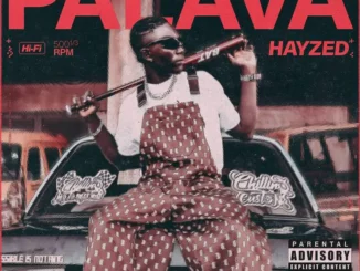 Hayzed – palava