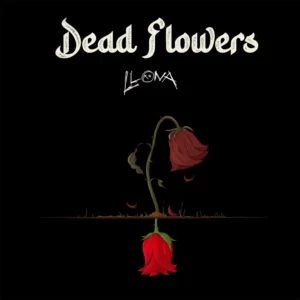 Llona – dead flowers