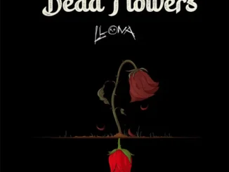 Llona – dead flowers